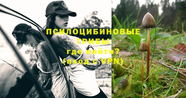 винт Верхний Тагил