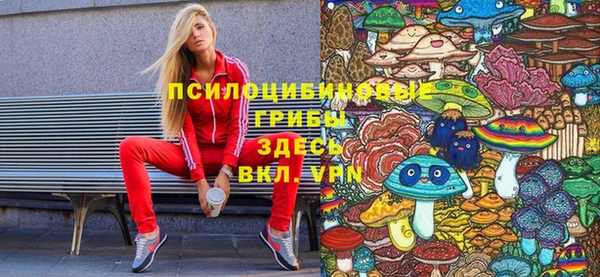 mdpv Лихославль