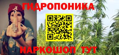 скорость Берёзовский