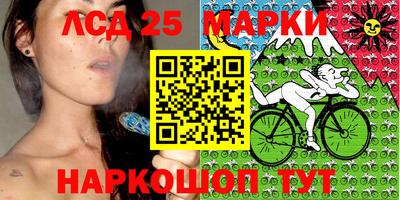 альфа пвп Волгодонск