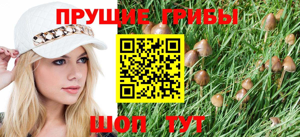 Галлюциногенные грибы Psilocybe Выкса