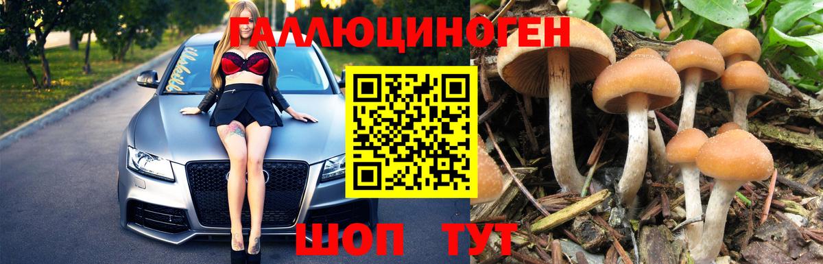 A-PVP  Кодеин  Вход с VPN  Мефедрон  Плюхи  Выкса  МАРИХУАНА  Кокаин  ГАШИШ 