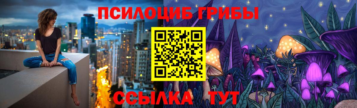 Галлюциногенные грибы мицелий  где можно купить наркотик  Выкса 